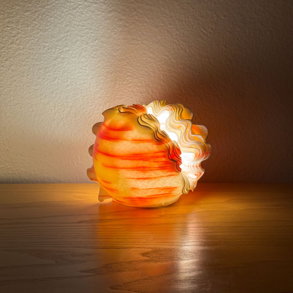 Shell Ocean Lamp