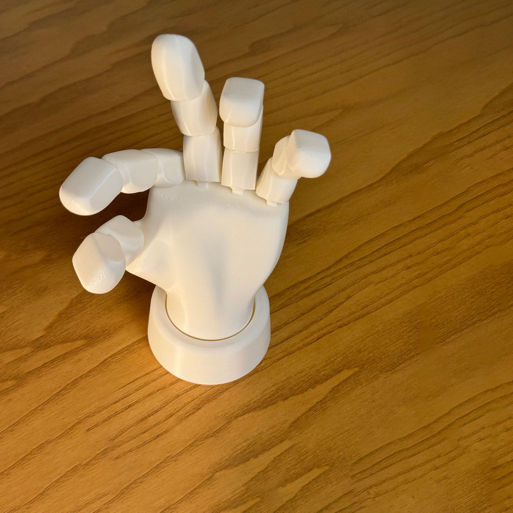 Articulated Flexible Hand