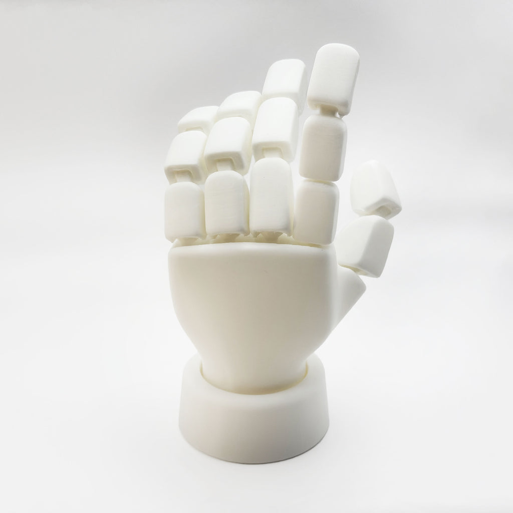 Articulated Flexible Hand