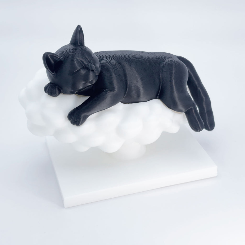 Sleeping Cat on a Cloud