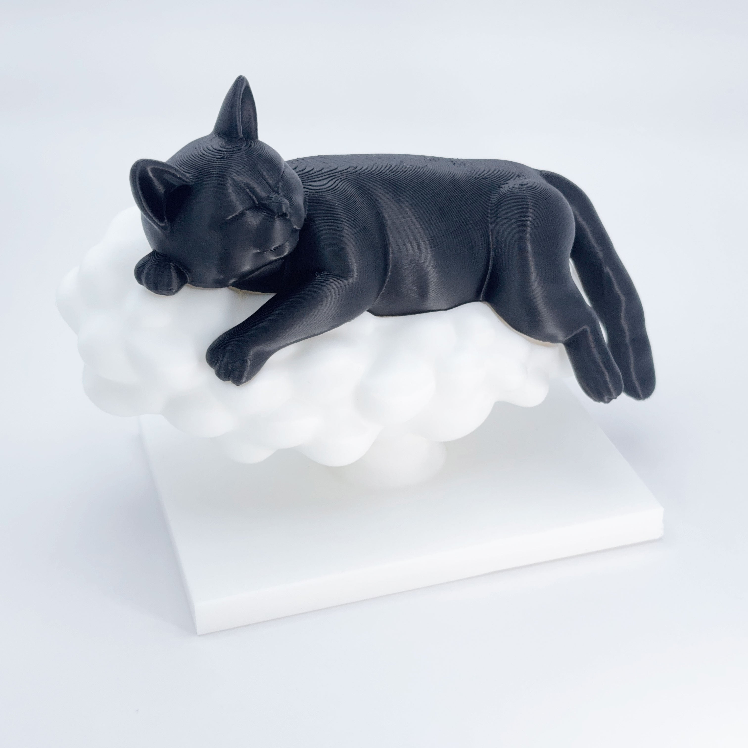 Sleeping Cat on a Cloud