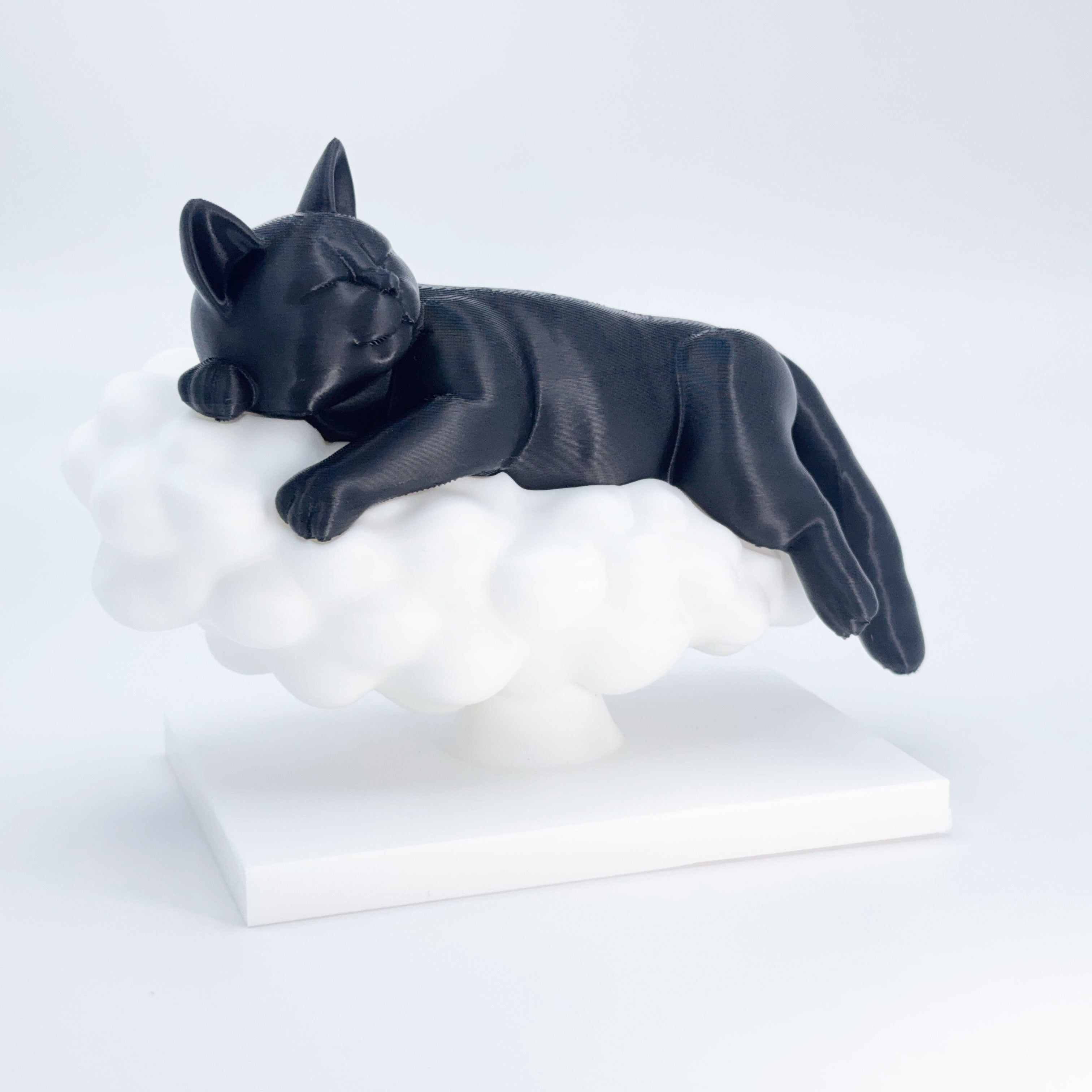 Sleeping Cat on a Cloud