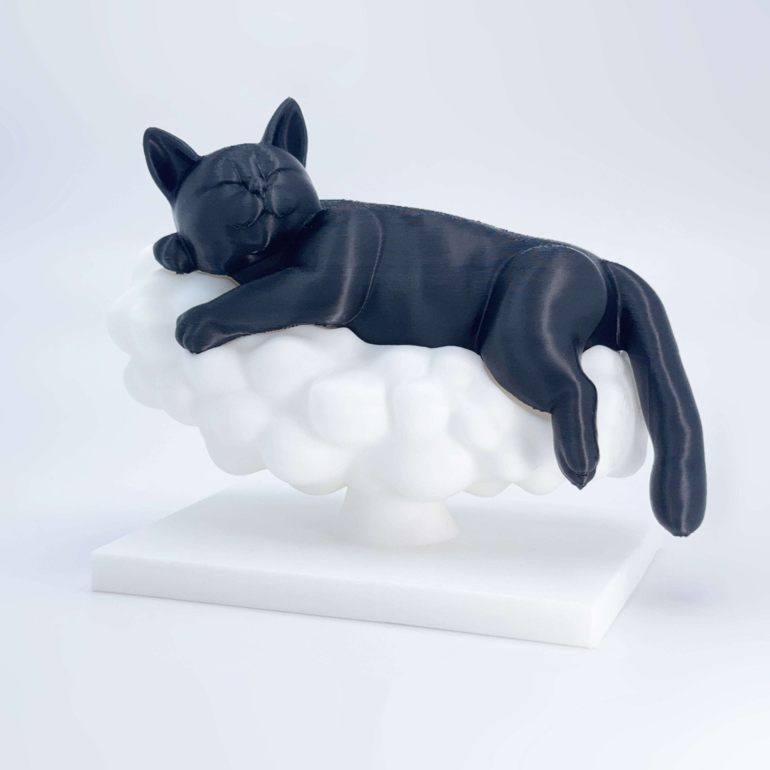 Sleeping Cat on a Cloud