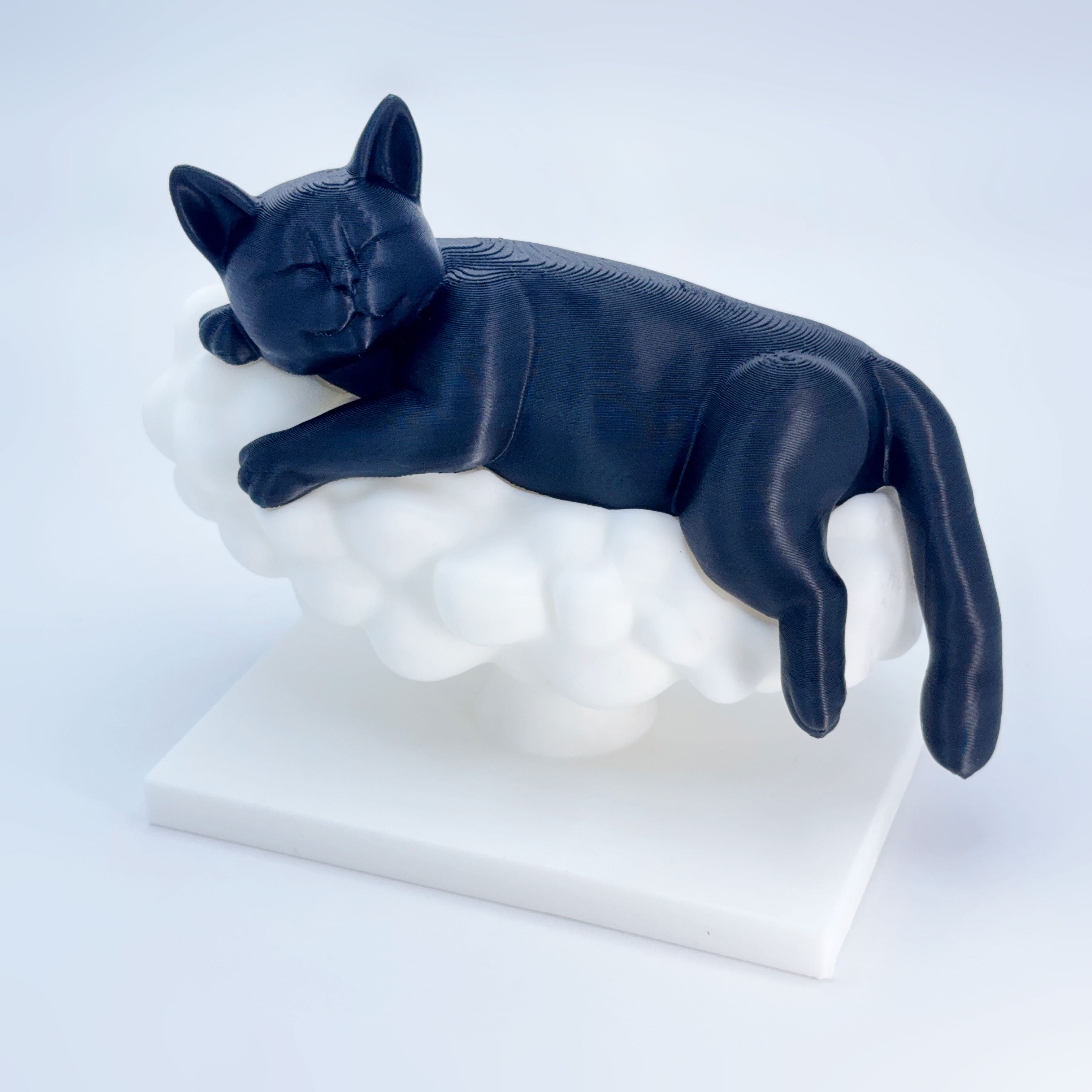 Sleeping Cat on a Cloud