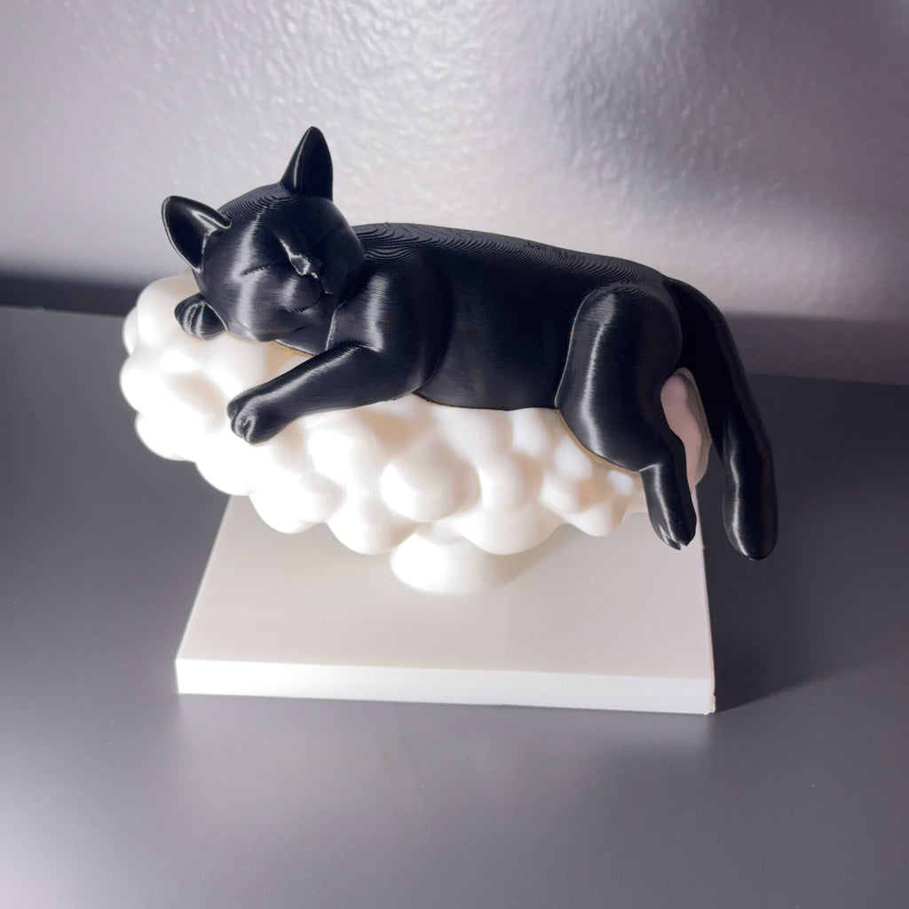 Sleeping Cat on a Cloud