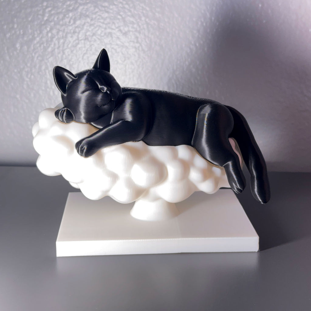 Sleeping Cat on a Cloud