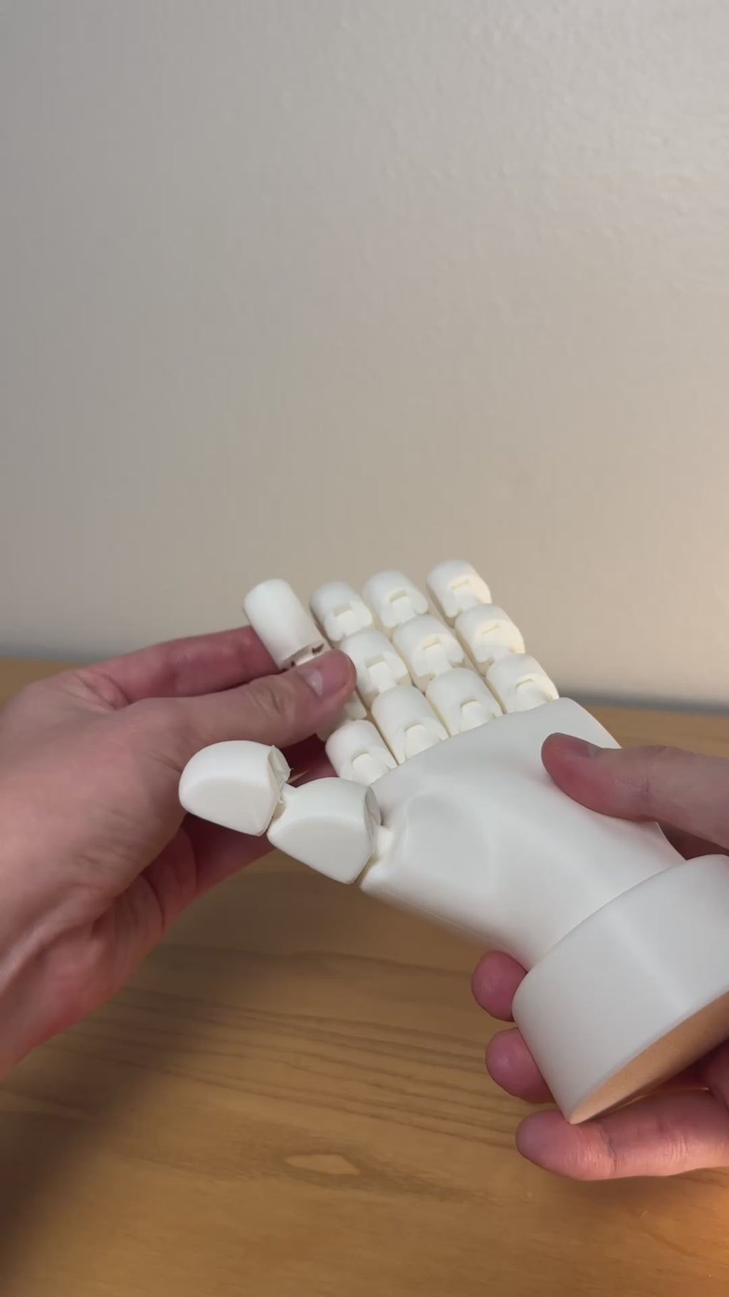 Articulated Flexible Hand